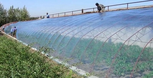 大棚吹膜用哪種增白劑？